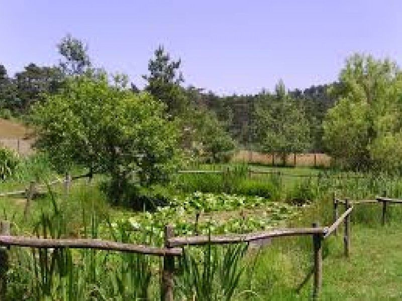 Orto Botanico Prato Rondanino