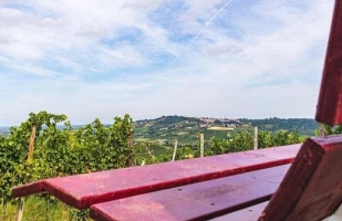 monferrato
