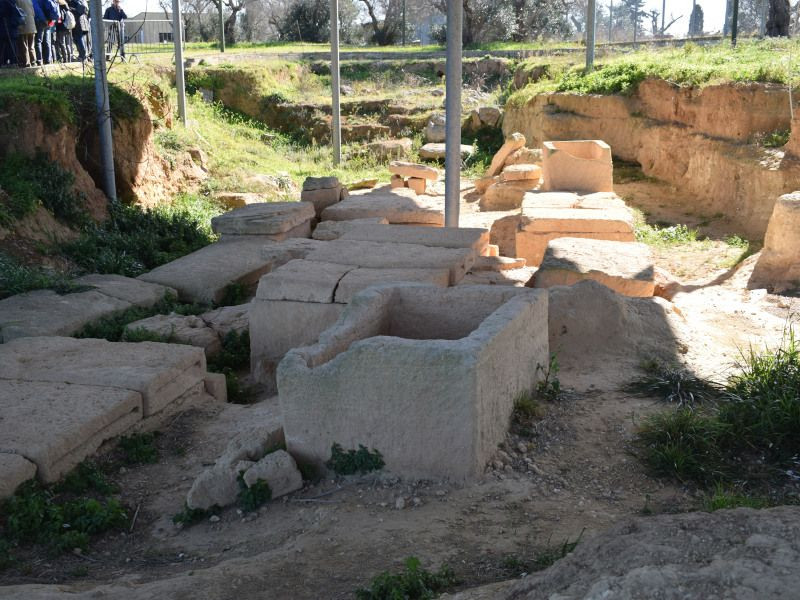 Necropoli di Monte d'Elia