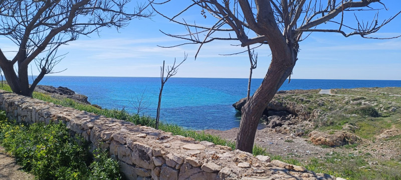 Torre Sinfonò di Capilungo (Alliste)