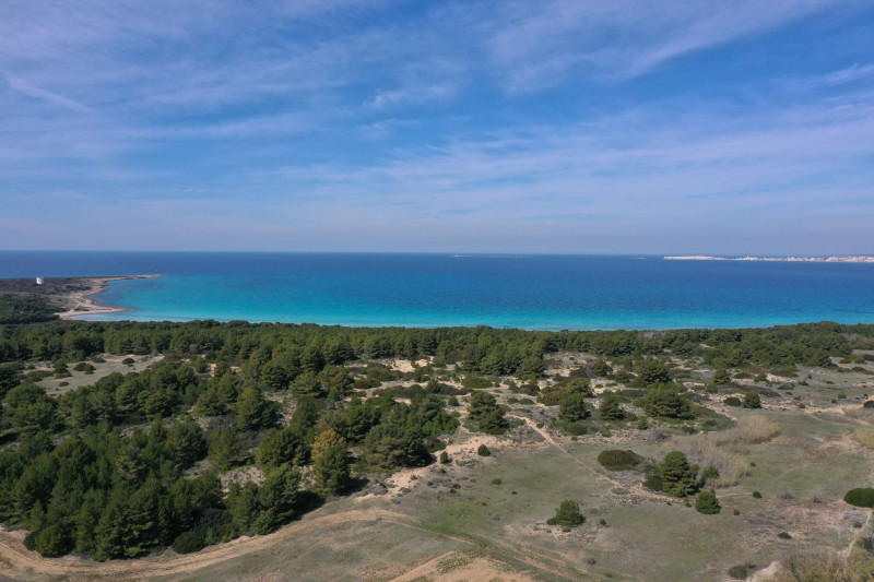 Parco Isola di Sant'Andrea e litorale di Punta Pizzo (Gallipoli)