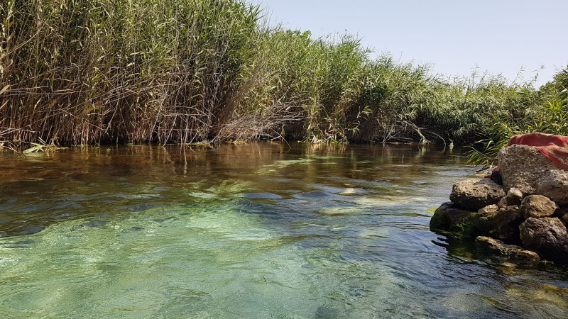 Riserva Naturale della foce del fiume Chidro (Manduria)