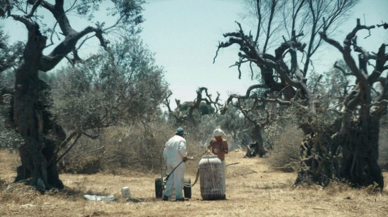 Il Campo dei Giganti (Nardò)