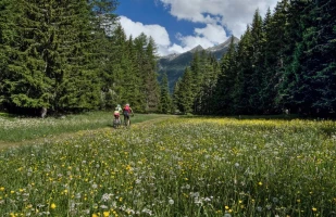 valle-aosta