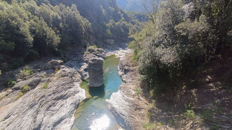 Torrente Argentina