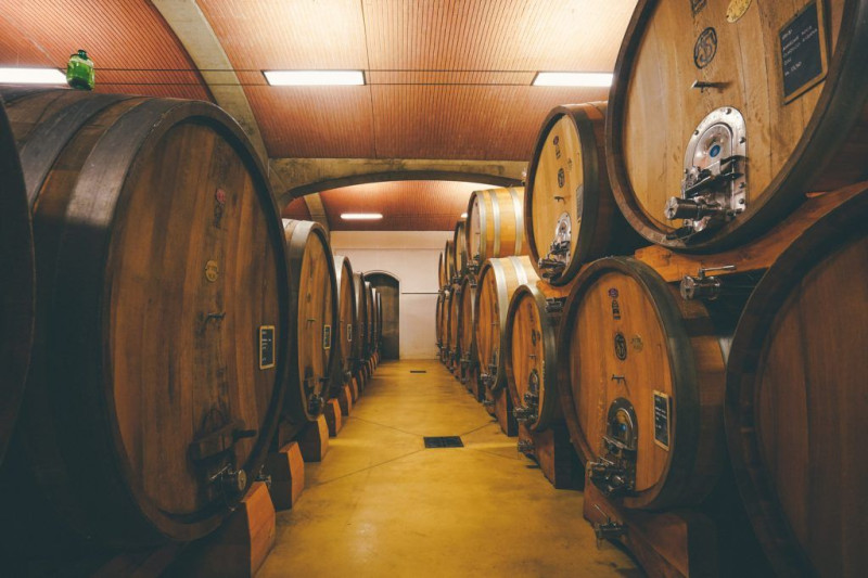 Salvaterra winery